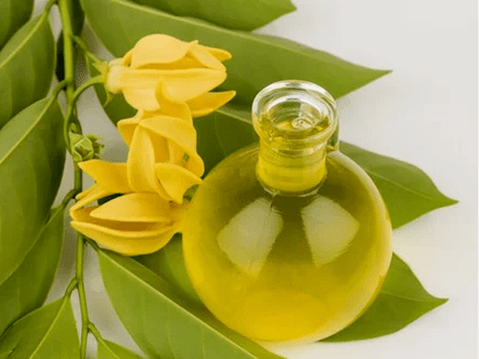 Aromatherapie om de potentie te verbeteren